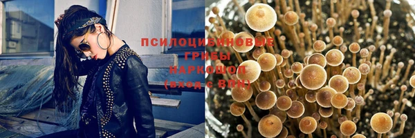тгк Балахна